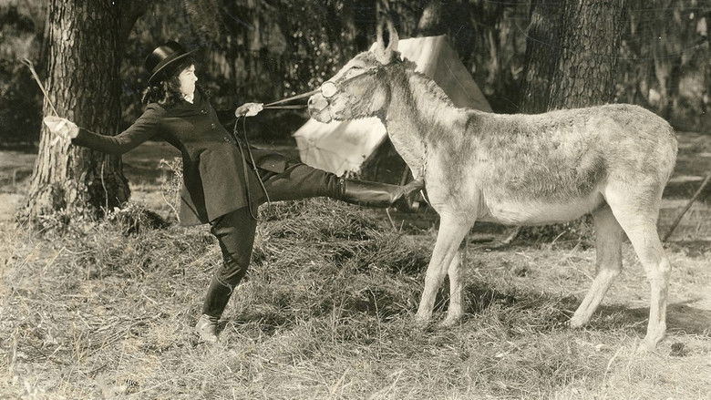 кадр из фильма Little Miss Rebellion