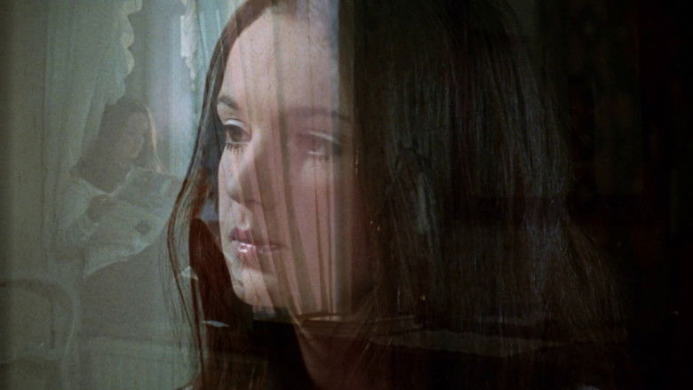 кадр из фильма Дева в Швеции