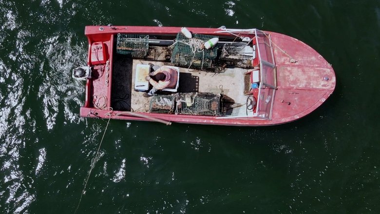 Трансляция