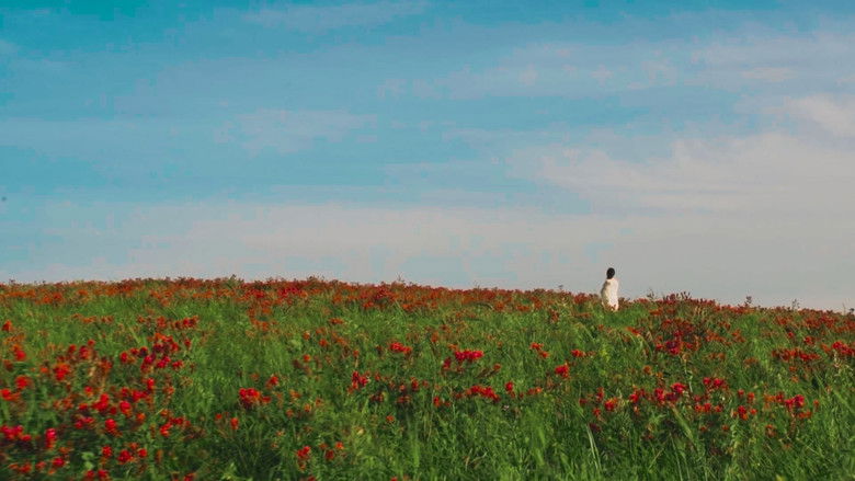 кадр из фильма Metonimia