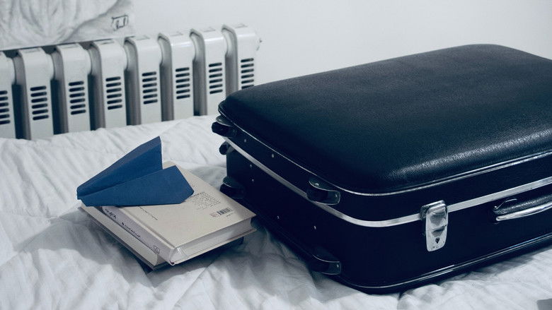 кадр из фильма Paper Plane