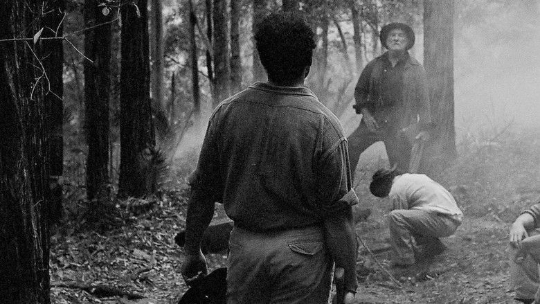 кадр из фильма Nest