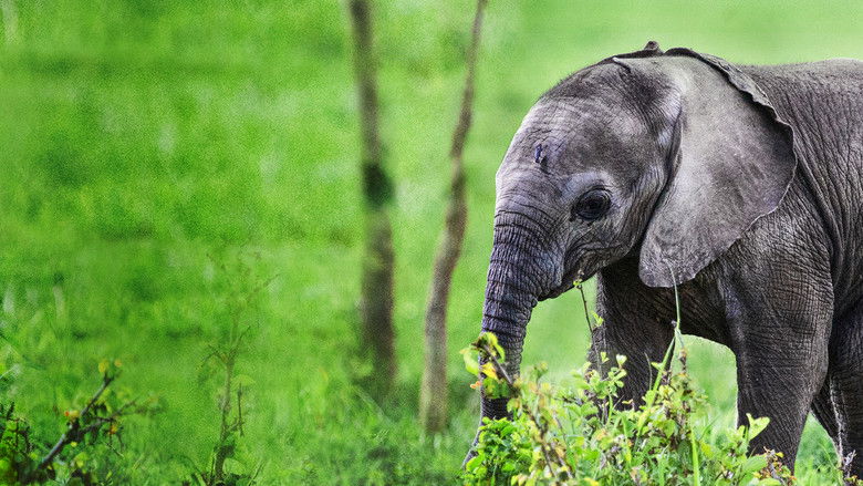 кадр из фильма Little Giant