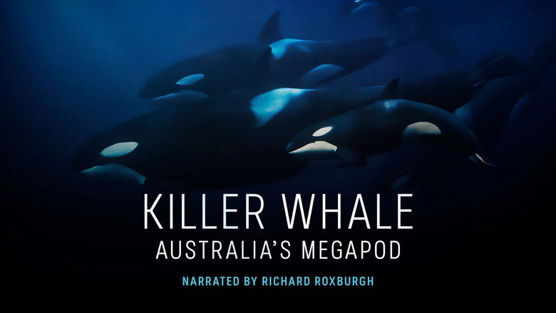 кадр из фильма Killer Whale: Australia's Megapod