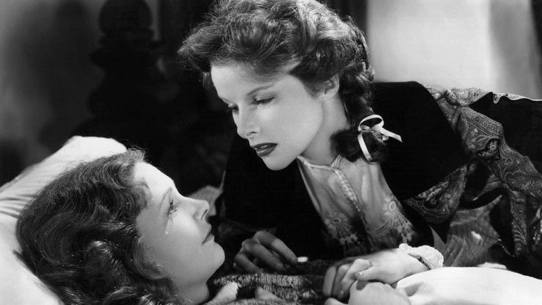 кадр из фильма Маленькие женщины