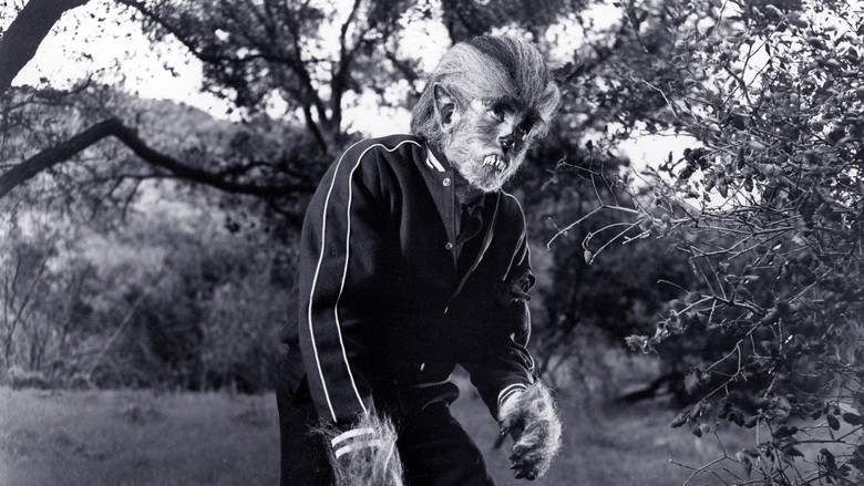 кадр из фильма I Was a Teenage Werewolf