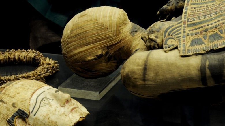 кадр из фильма Momies d'Egypte, en quête d'immortalité