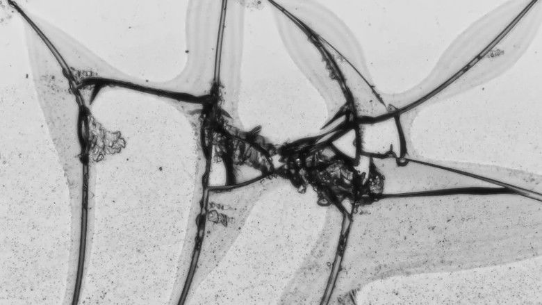 кадр из фильма Hold Out