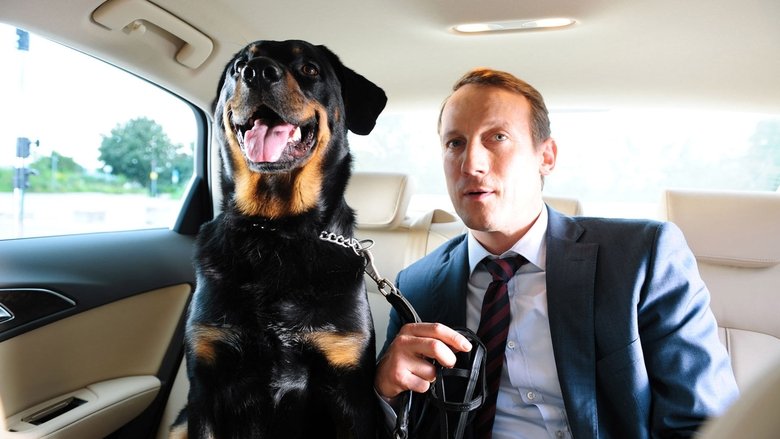 кадр из фильма Что творят немецкие мужчины