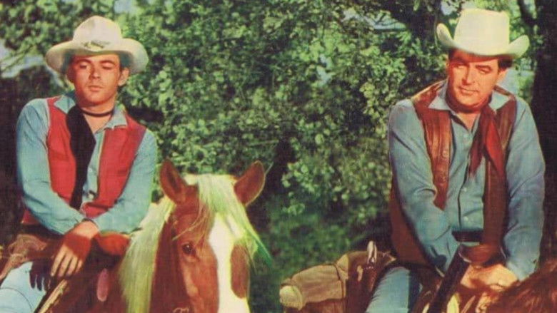 кадр из фильма The Gun Hawk