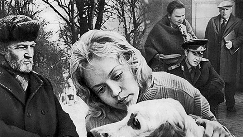 кадр из фильма Белый Бим Чёрное ухо