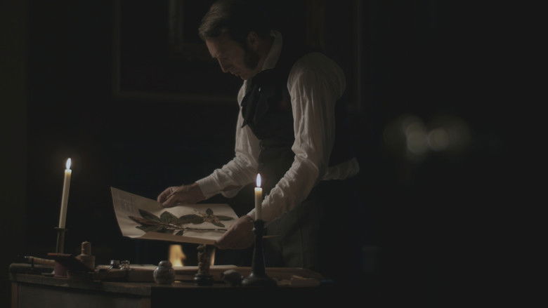 кадр из фильма Les aventures de Robert Fortune ou comment le thé fut vole aux Chinois