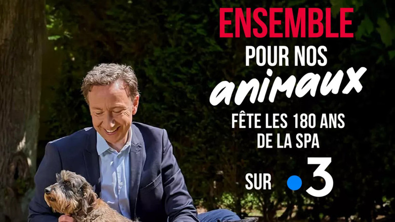 кадр из фильма Ensemble pour nos animaux - fête les 180 ans de la SPA