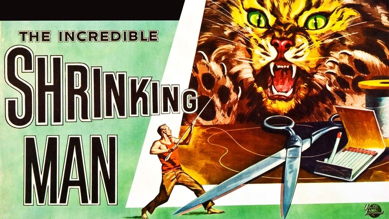 кадр из фильма Невероятно худеющий человек