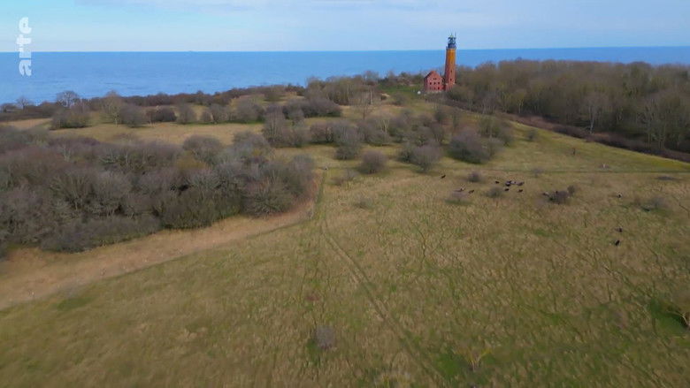 кадр из фильма Rügen - Weiße Felsen, grüne Wälder