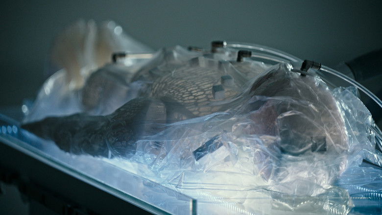 кадр из фильма Alien: Covenant - Meet Walter