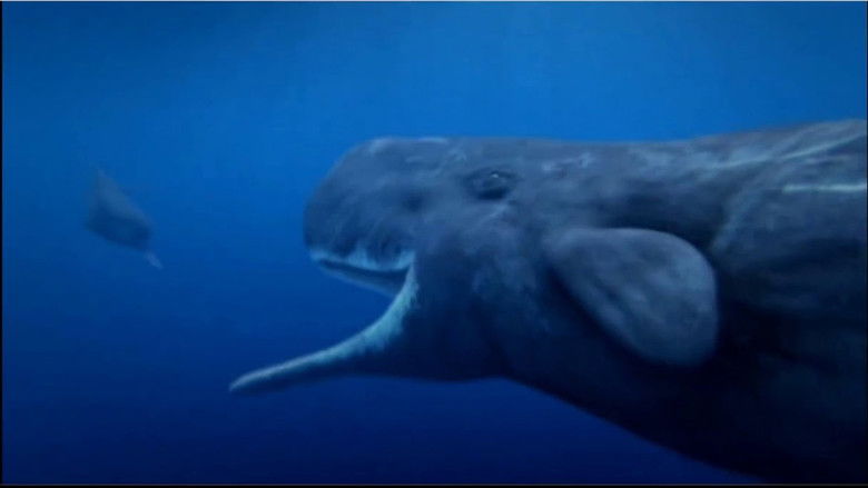 Океанская одиссея