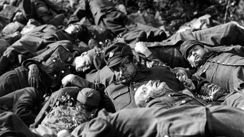 кадр из фильма Последний свидетель