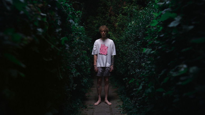 кадр из фильма Nie ma duchów w mieszkaniu na Dobrej