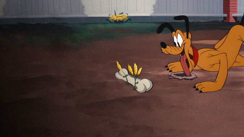 кадр из фильма Bone Bandit