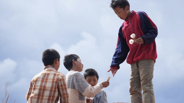 кадр из фильма 月光里的男孩