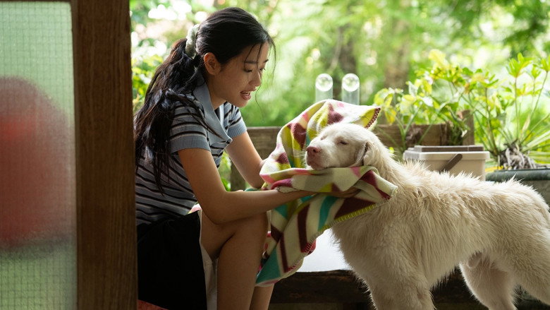 кадр из фильма โกฮัง..หัวใจโกโฮม