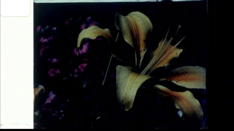 кадр из фильма Echoed Silence