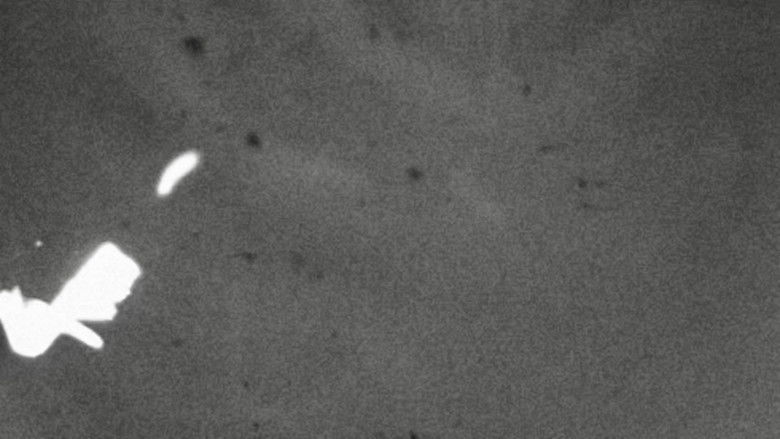 кадр из фильма плакать при свете (cry in the light)