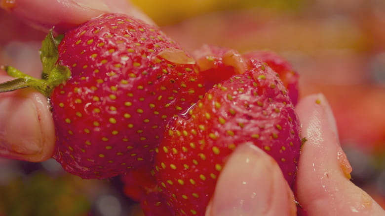 кадр из фильма Fruity