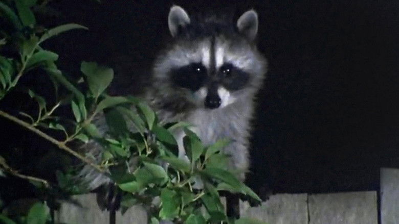 кадр из фильма Wild in the City