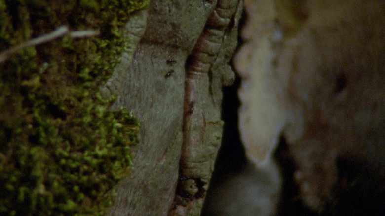 кадр из фильма Krutxalteatik Uronarat