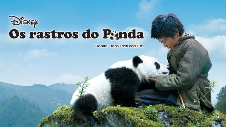 кадр из фильма 熊猫回家路