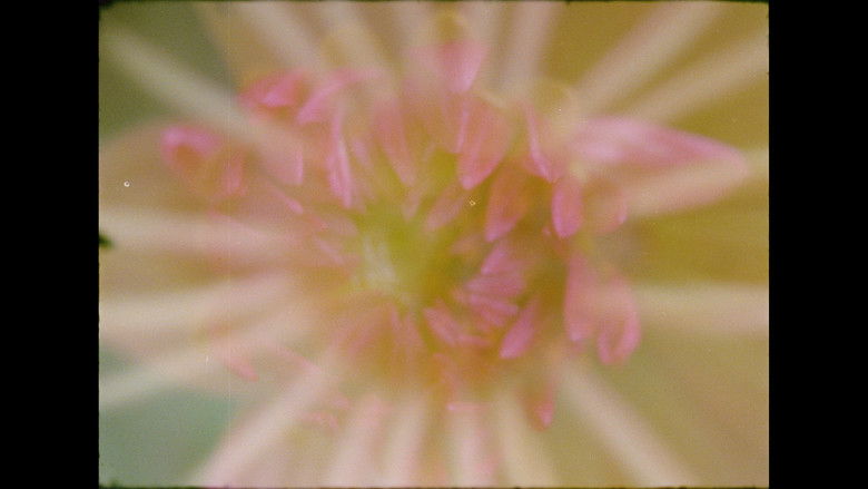 кадр из фильма Ahora y en la hora de nuestra muerte