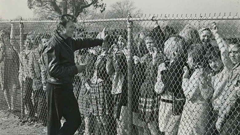 кадр из фильма Wild Seed