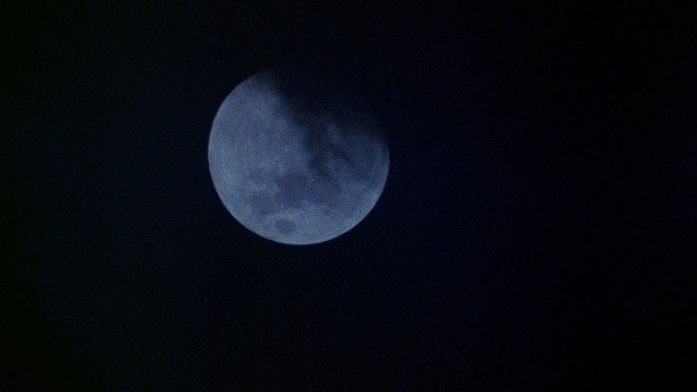 кадр из фильма Американский оборотень в Лондоне