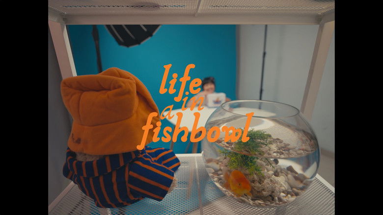 кадр из фильма Life in a Fishbowl