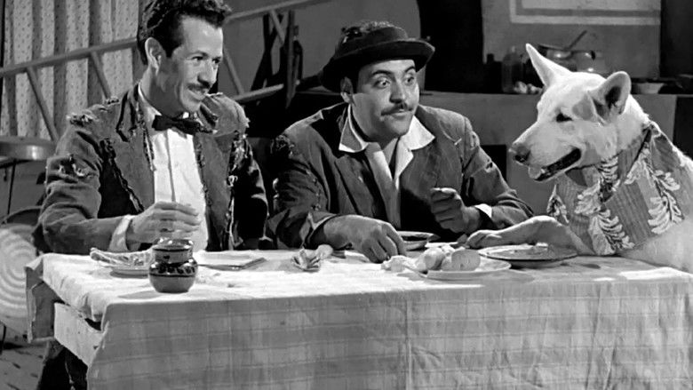 кадр из фильма Qué perra vida