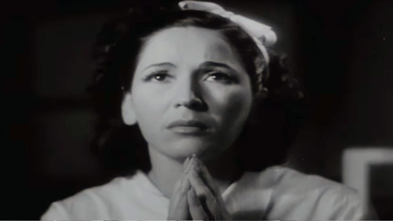 кадр из фильма Pájaros sin nido