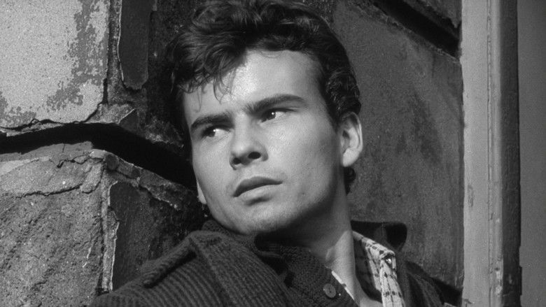 кадр из фильма Тигровая бухта