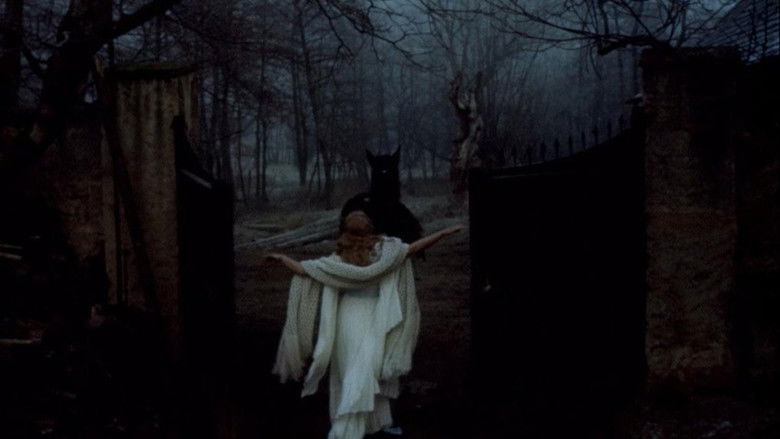 кадр из фильма Красавица и чудовище