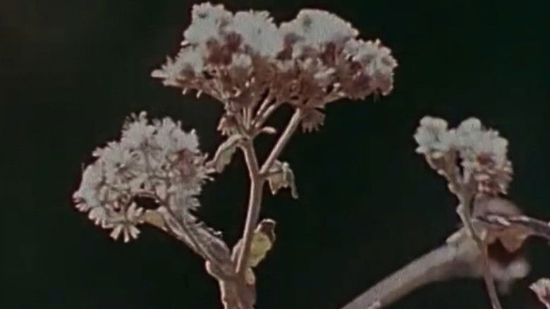 кадр из фильма Lann