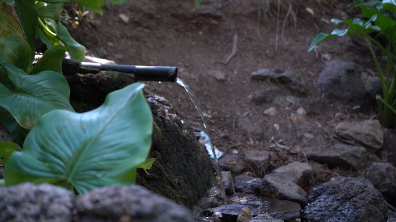 кадр из фильма LOST