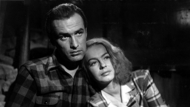 Моё сокровище