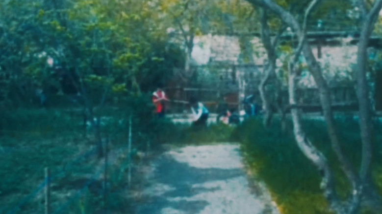 кадр из фильма Nostalgia of Everything