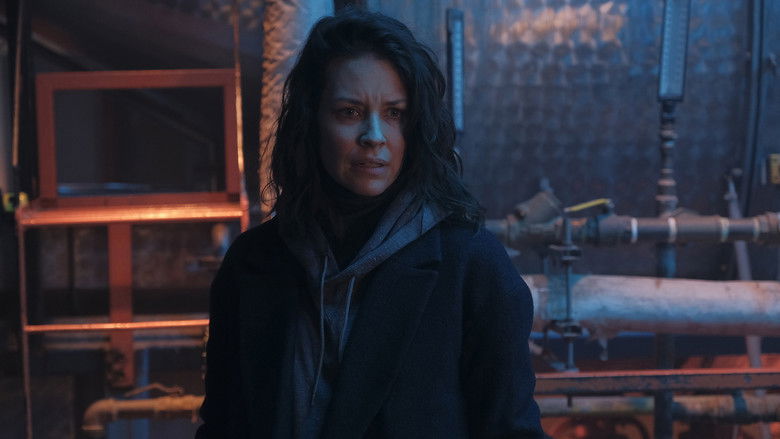 кадр из фильма Трафик