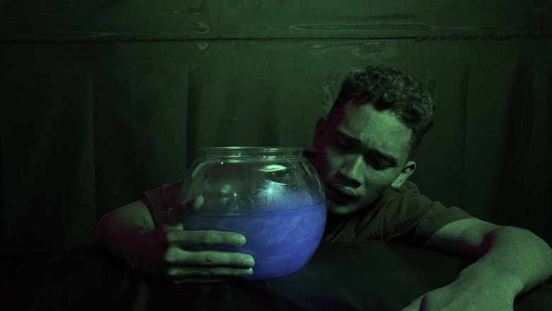 кадр из фильма shining, shimmering, ...splendid?