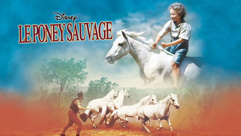 кадр из фильма Ride a Wild Pony