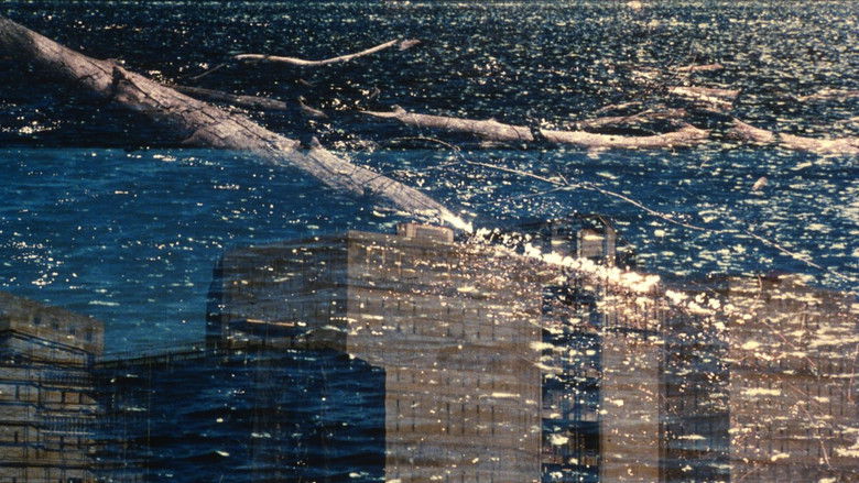 кадр из фильма Horizontal Boundaries