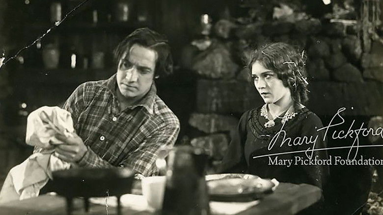 кадр из фильма A Romance of the Redwoods