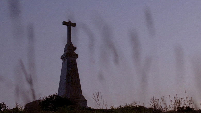 кадр из фильма Primavera esvaïda